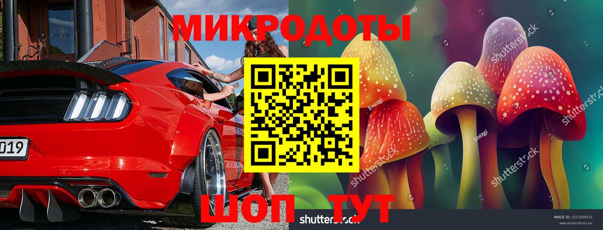 Галлюциногенные грибы Psilocybe  Вход с VPN  Россошь  Галлюциногенные грибы Psilocybine cubensis 