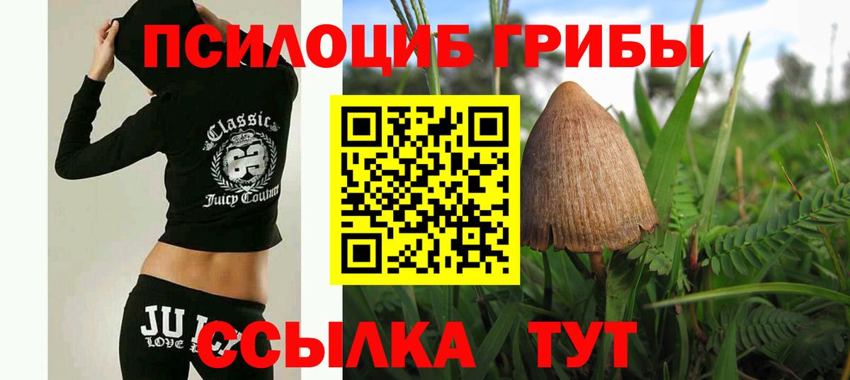 Галлюциногенные грибы мухоморы Россошь